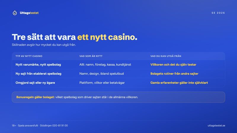 Tre typer av nya casinon: nytt varumärke, ny sajt från etablerat spelbolag och omgjord sajt, och vad du kan utgå från